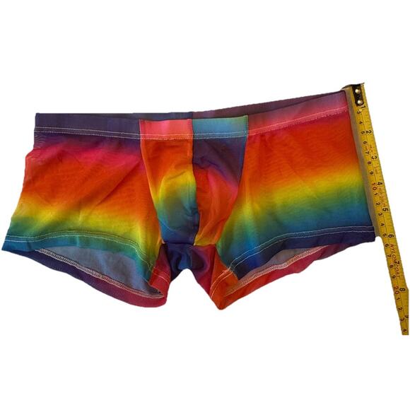 Men’s PRIDE Colors Polyester Mesh Small Boxer Briefs See Through Low Rise NWOT - Picture 10 of 13